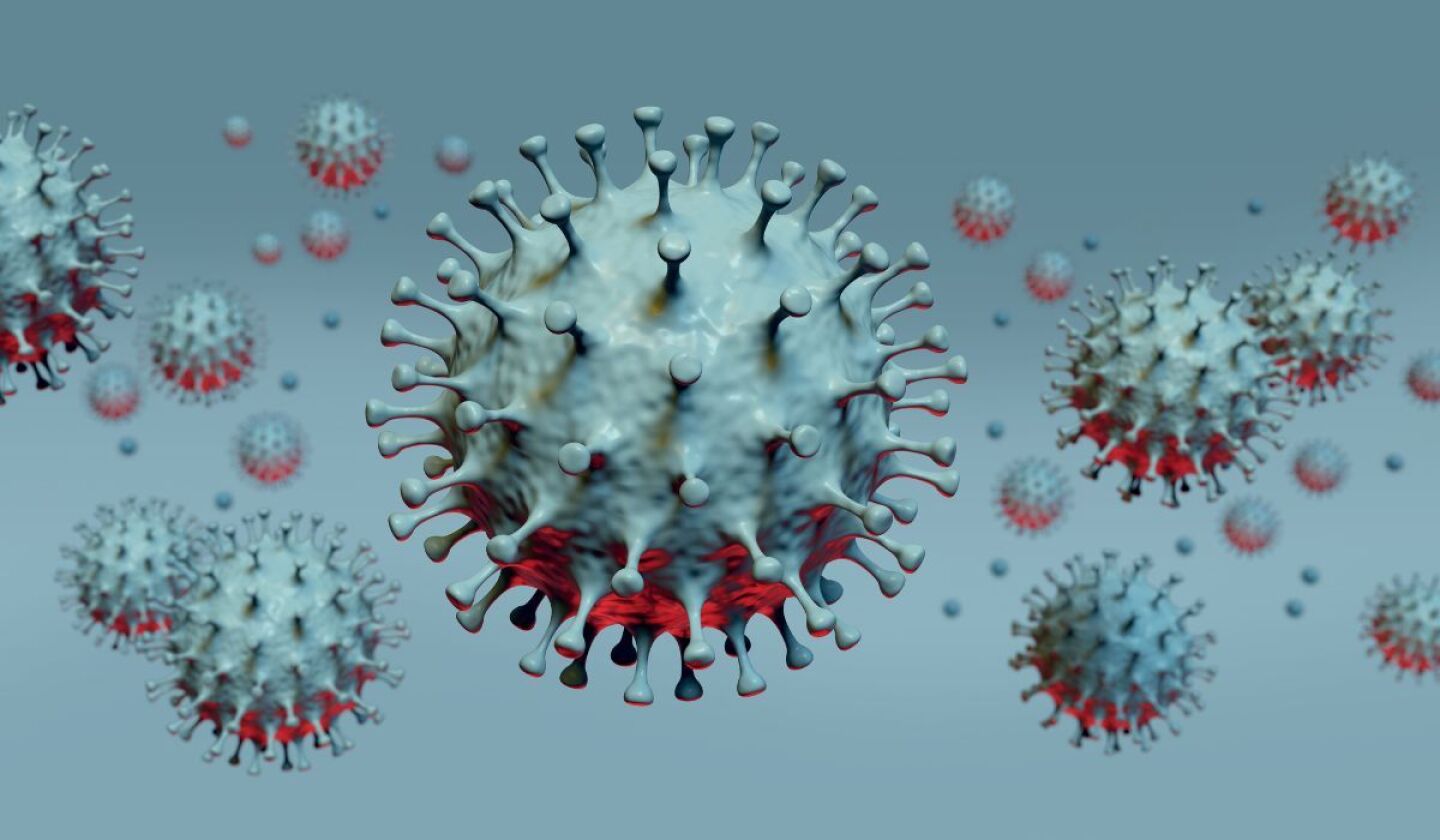 Virus Nipah: Alerta global, letalidad 75% y el riesgo BSL-4
