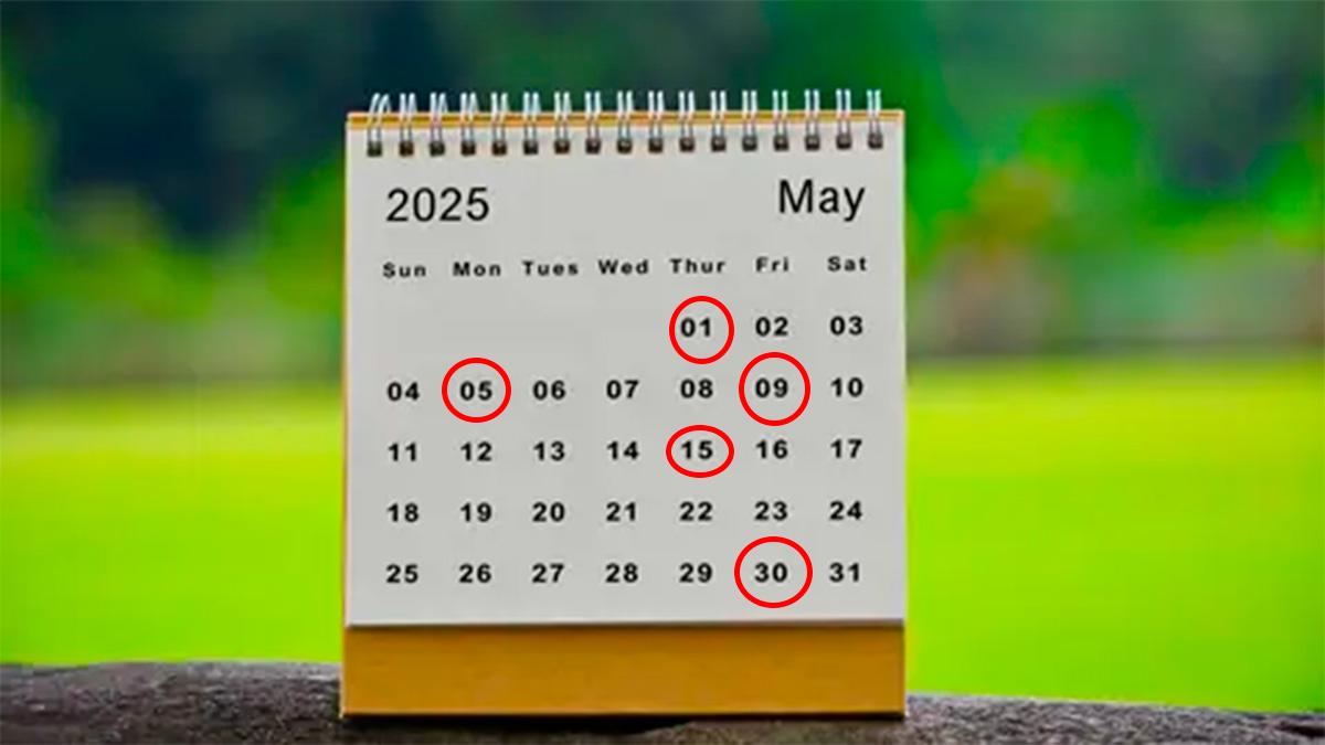 Puentes de mayo 2025 según la SEP: días sin clases confirmados