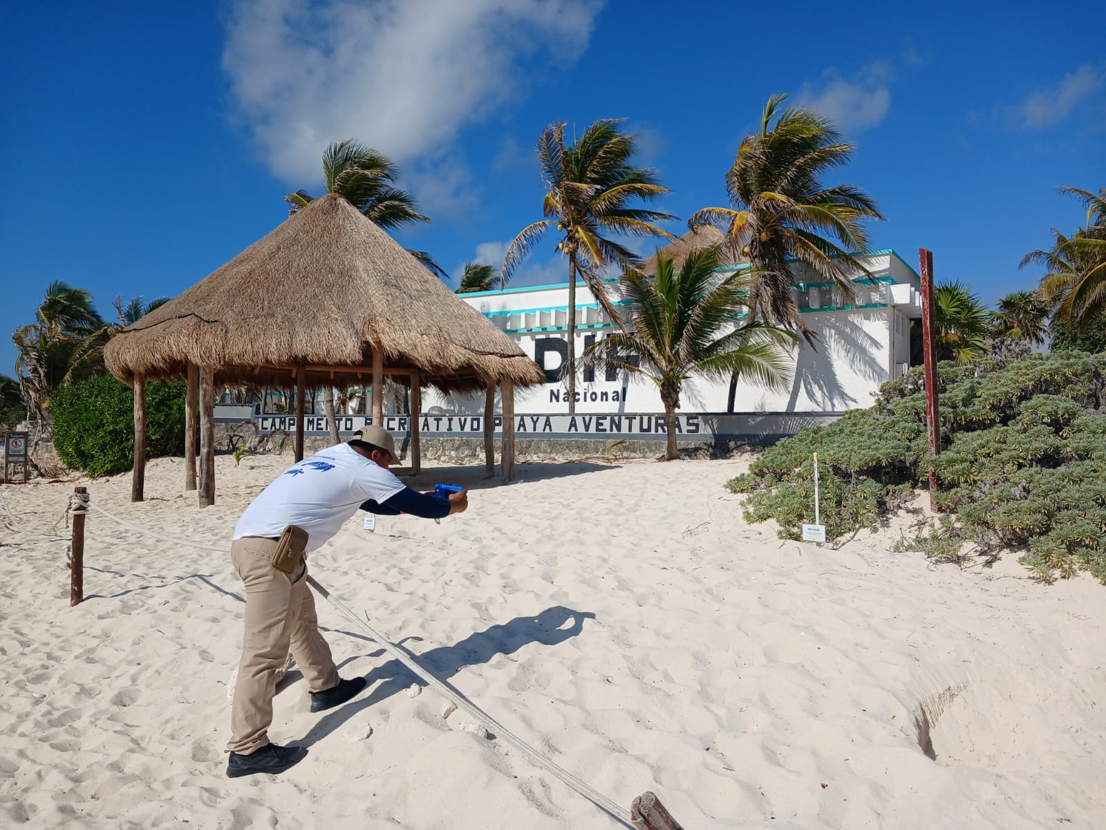 Fundación Eco-Bahía presenta resultados preliminares de una de sus temporadas más exitosas de conservación de tortugas marinas