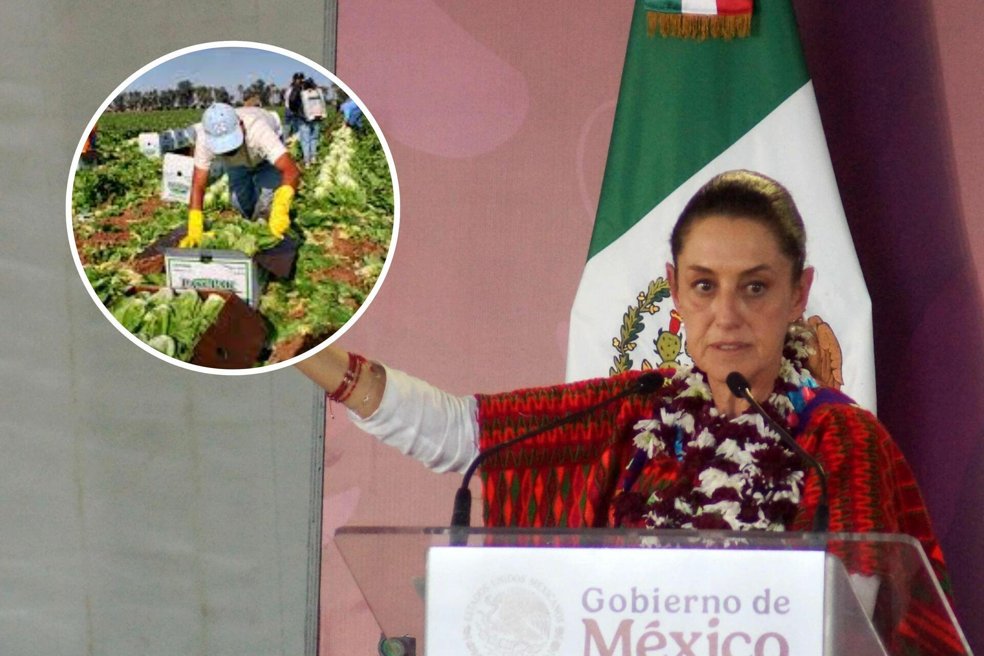 Migrantes mexicanos sostienen la economía de EE. UU., afirma Sheinbaum