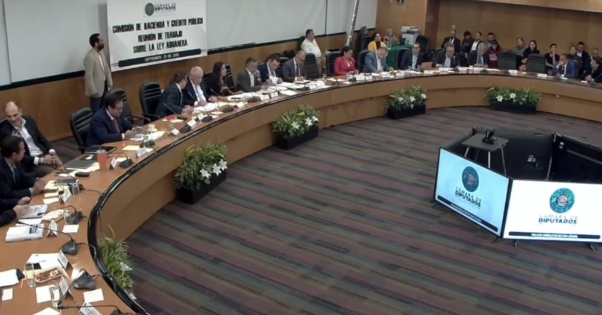 Reformas a Ley Aduanera Urgen por Seguridad Nacional: Erick Jiménez
