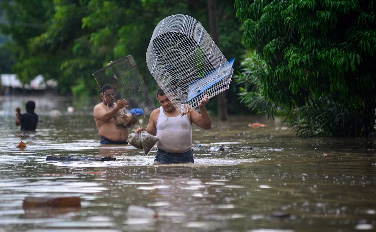 Lluvias afectan 100 mil viviendas: Sheinbaum anuncia apoyos