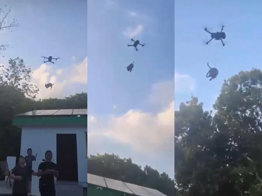 Crueldad animal: Perrito elevado con un dron indigna a México | VIDEO