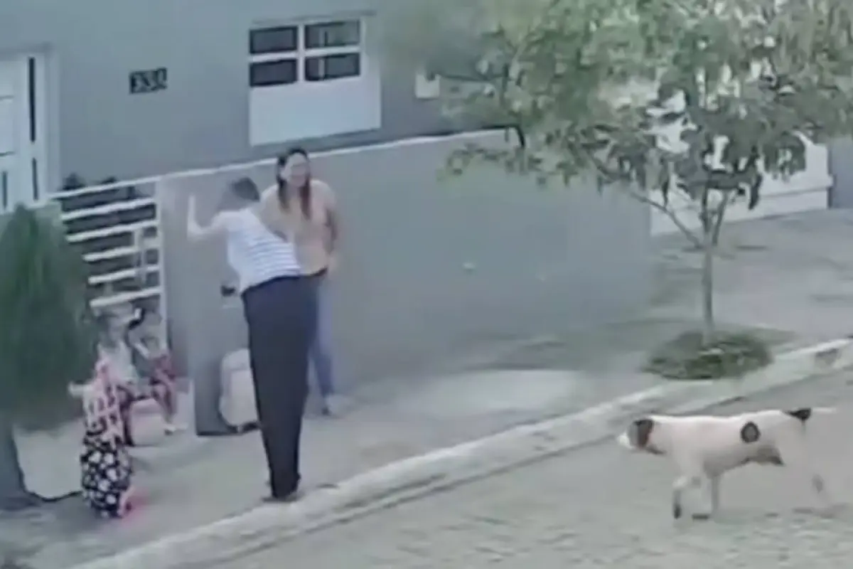 Perro ataca a dos niñas mientras esperaban autobús escolar