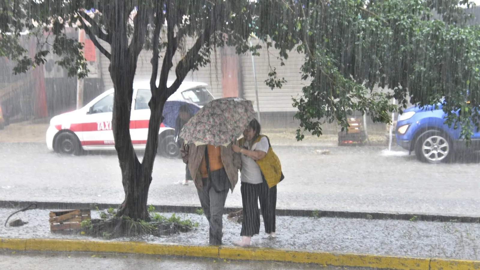 Alerta máxima por el frente frío 16: lluvias y desbordamientos este 28 de noviembre