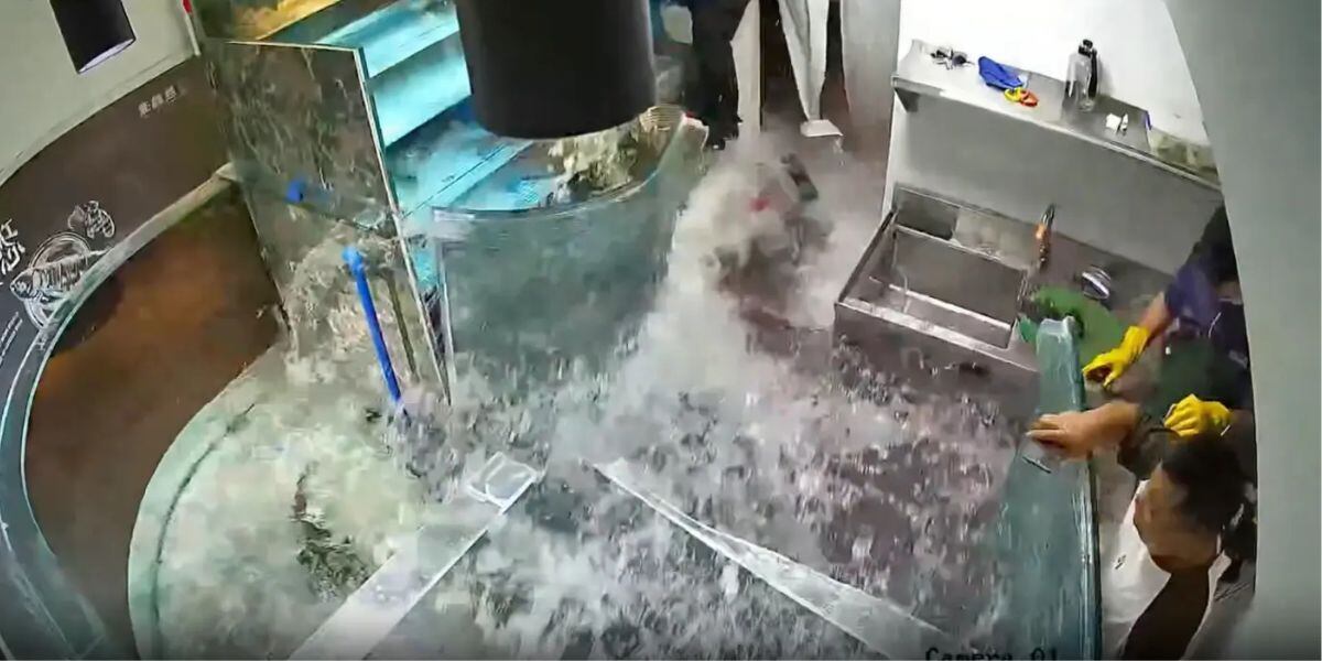 Enorme pecera colapsa en restaurante chino y causa caos