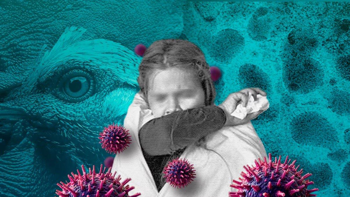 Influenza aviar en Torreón: muere niña de 3 años tras contagio humano