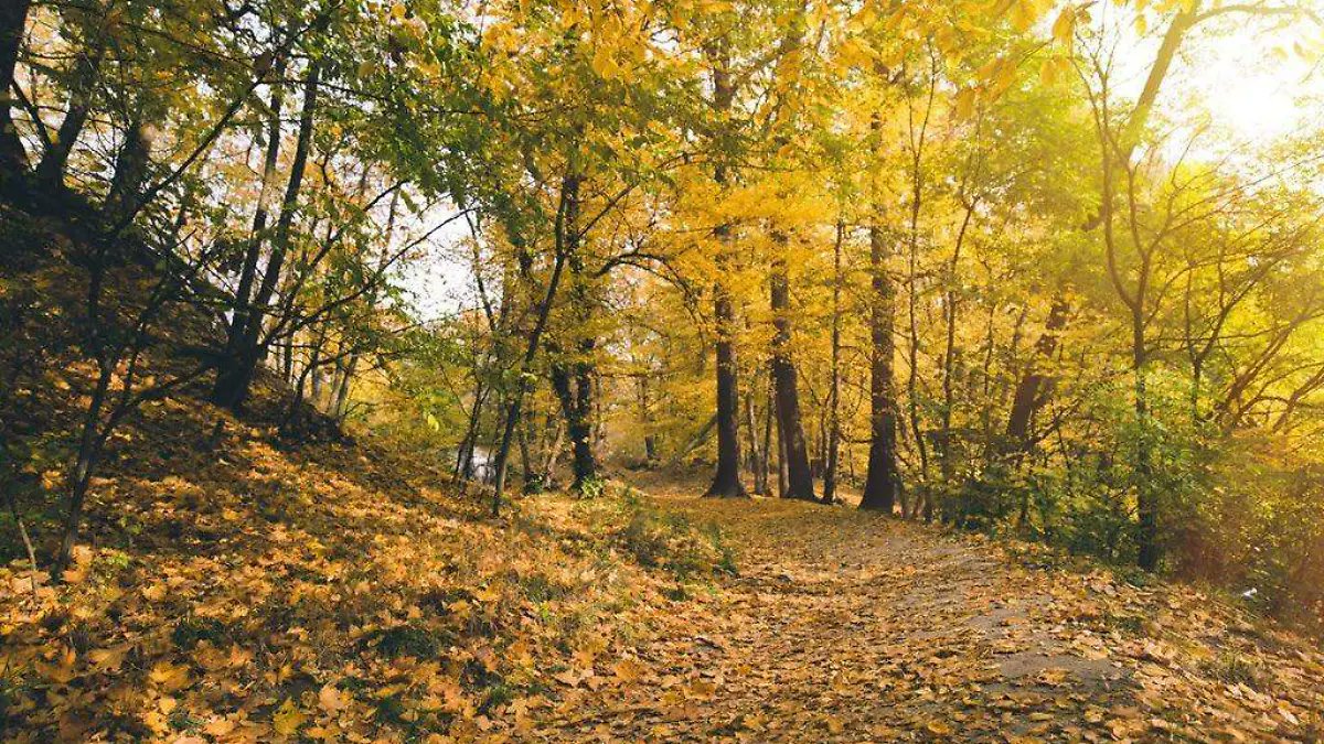 Otoño 2025: Estados de México con temperaturas de 0 a 5 grados