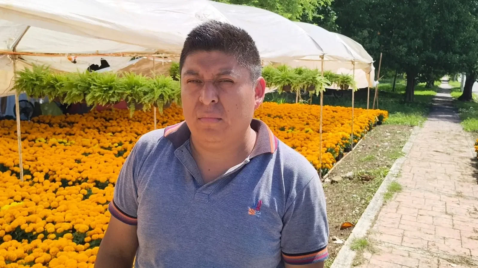 Floricultores poblanos abastecen de cempasúchil los altares de Chetumal