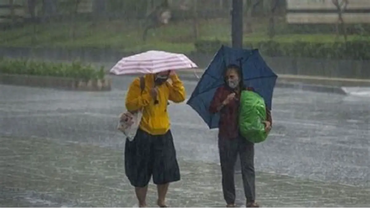 Lluvias fuertes y calor: ¿Qué es la canícula según los expertos?