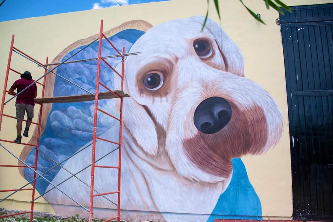 Centro de Bienestar Animal: el mural que pondrá rostro al amor por los animales