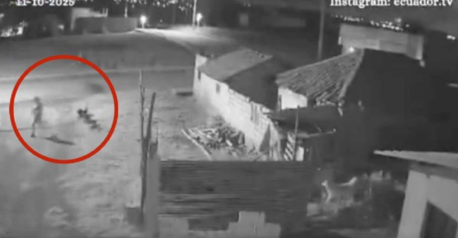 Escalofriante video: Niño fantasma desaparece ante perros en Ecuador