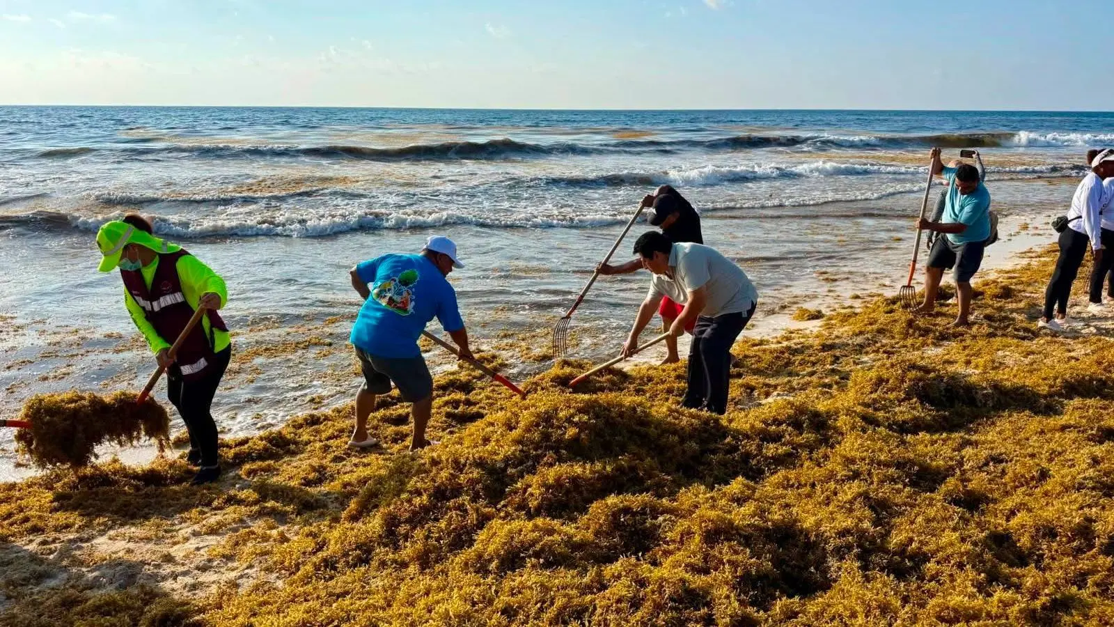 Sargazo en Quintana Roo: 15 playas registran niveles excesivos