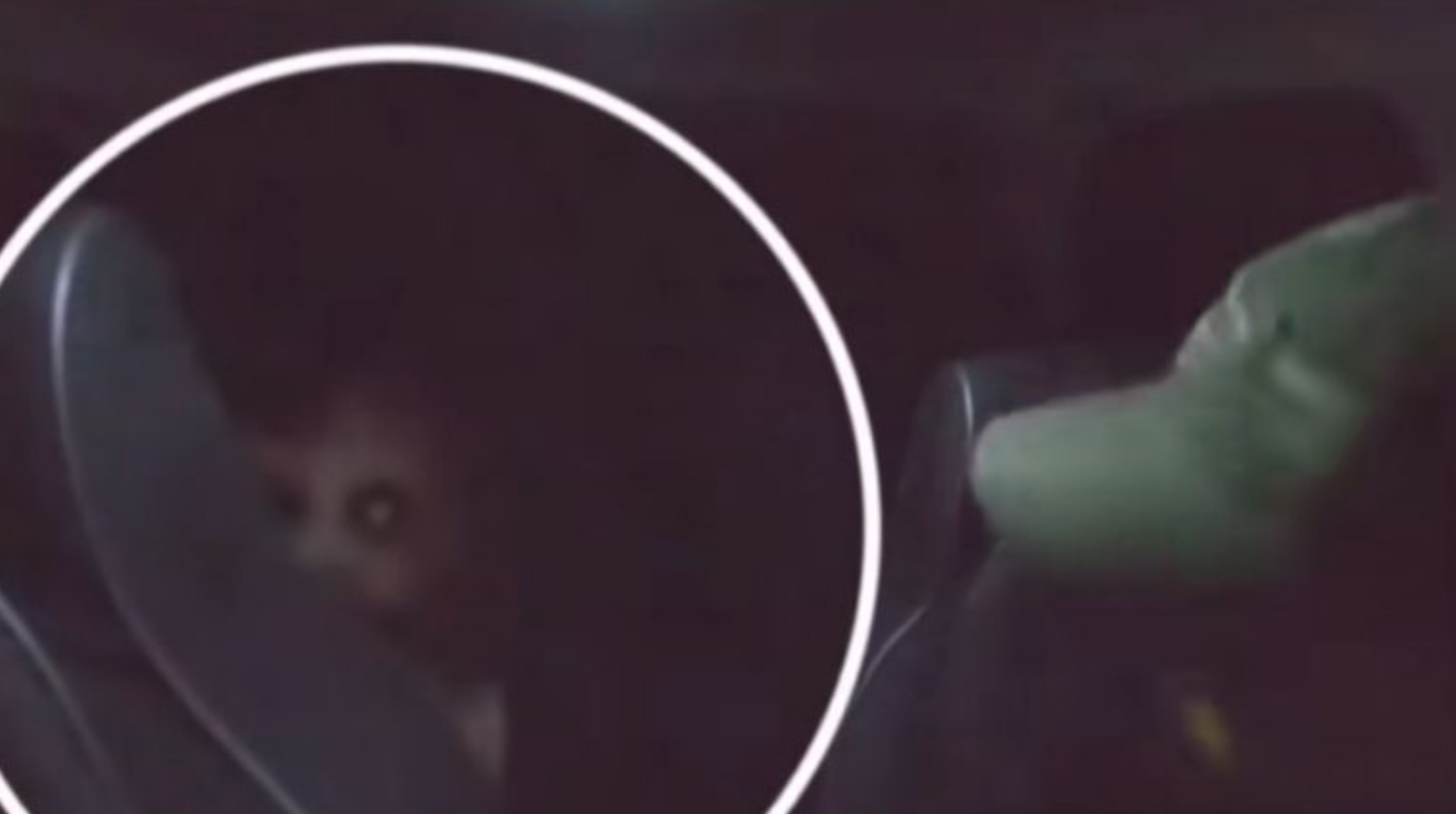 La aparición que estremece a tiktok: ¿un demonio captado en video de terror viral?