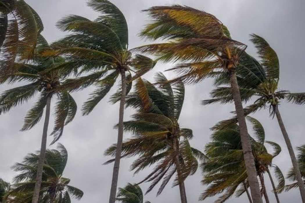 El clima golpea el 55% de la capacidad náutica: cierran puertos en Quintana Roo