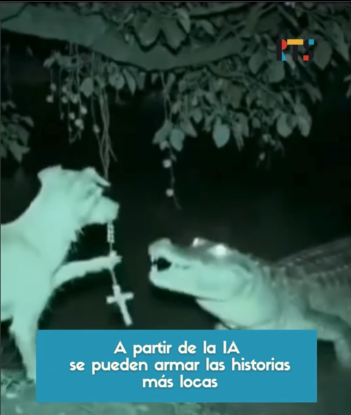 Un perrito se salva de un cocodrilo con un rosario en video viral