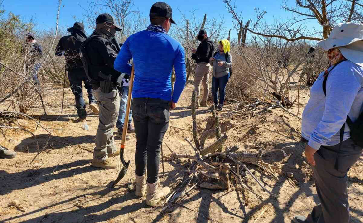 Hallan 66 osamentas en fosas clandestinas de La Paz: La búsqueda no cesa