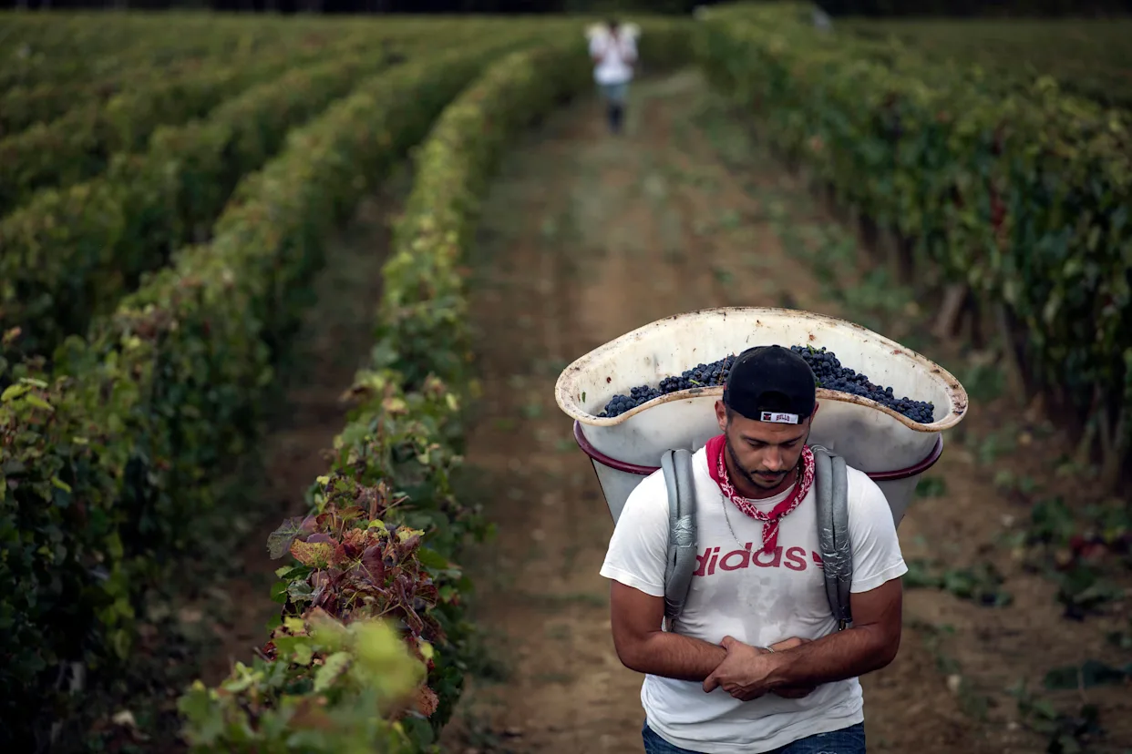 Apoyo a agricultores: Gobierno federal ofrecerá propuesta hoy