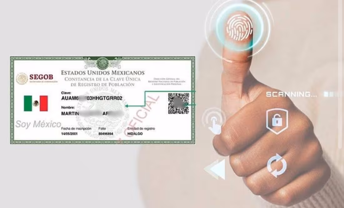 CURP biométrica no es obligatoria para trámites: aclara coordinadora
