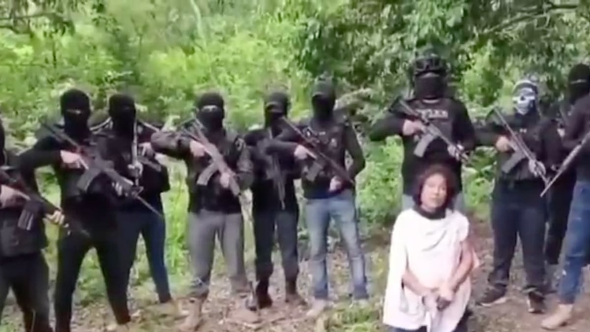 La operación del Cártel Mafia Veracruzana tras el homicidio de Irma Hernández