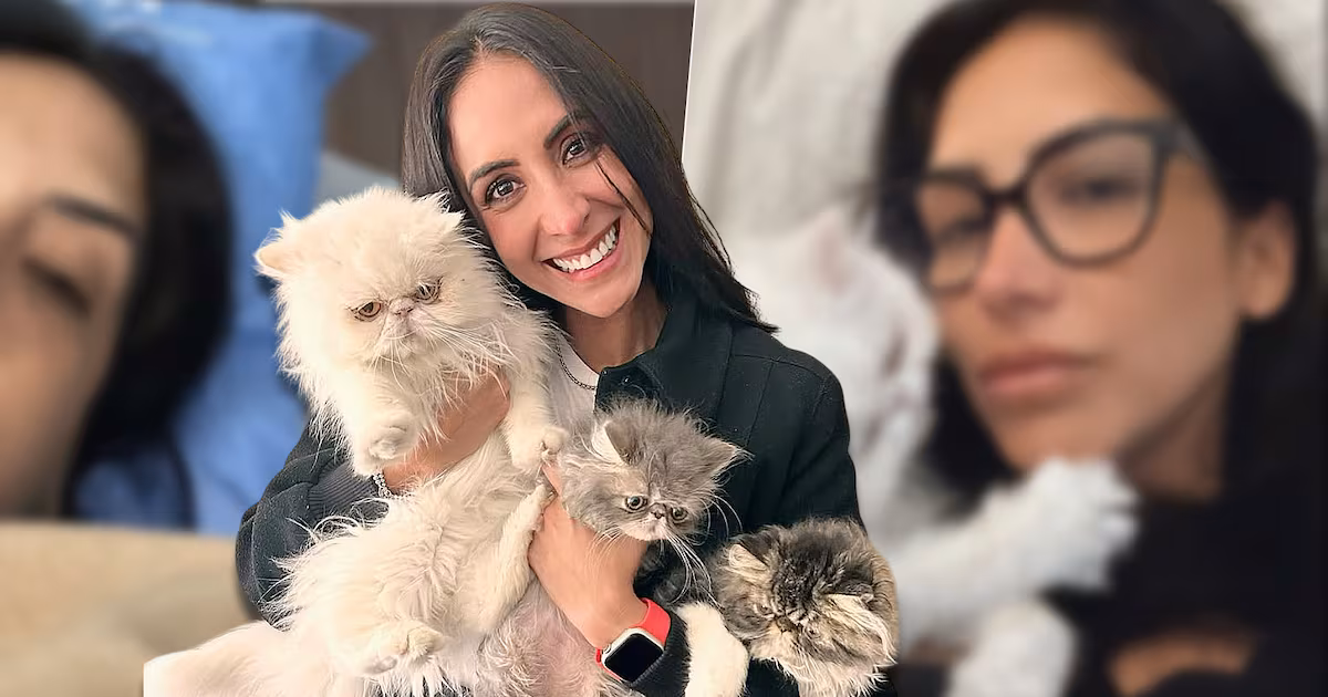 Una aliada felina en la recuperación