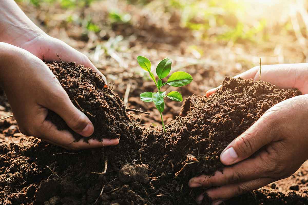 Recursos naturales: cómo cuidarlos antes de que sea demasiado tarde