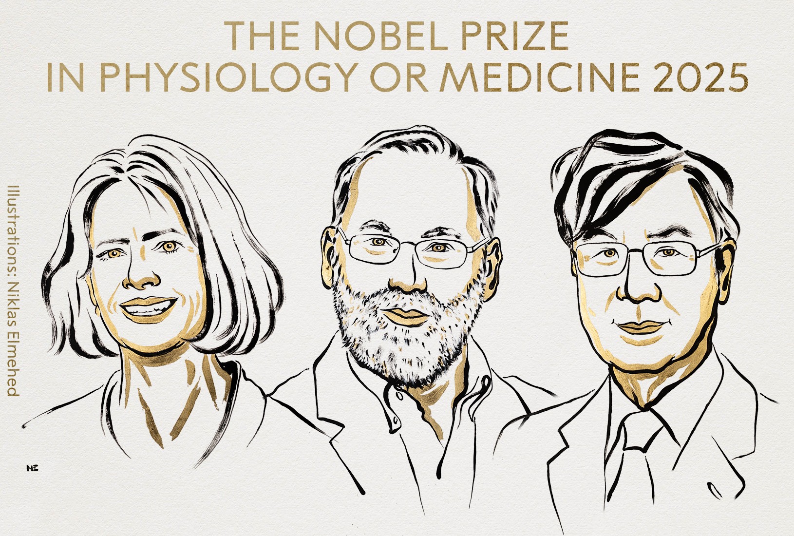 Premio Nobel de Medicina 2025: Descubren el funcionamiento del sistema inmune