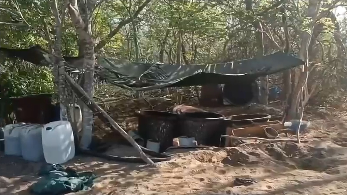 Desmantelan laboratorio de metanfetaminas en Nayarit