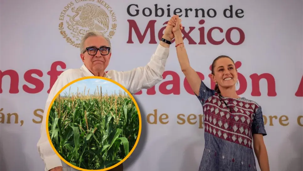 Sheinbaum exhibe a Maseca y Cargill: La exigencia del precio justo por el maíz