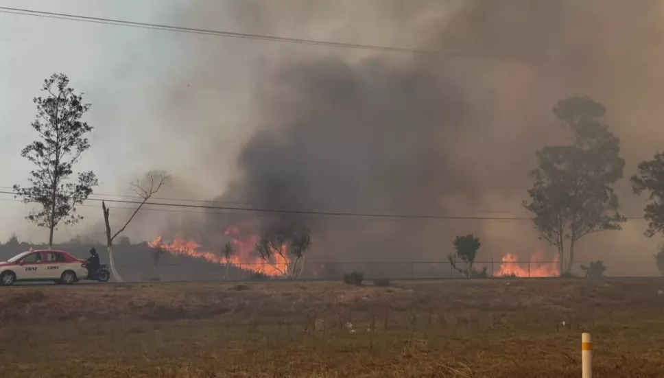 Incendio en Parque Ecológico de Texcoco arrasa con 40 hectáreas