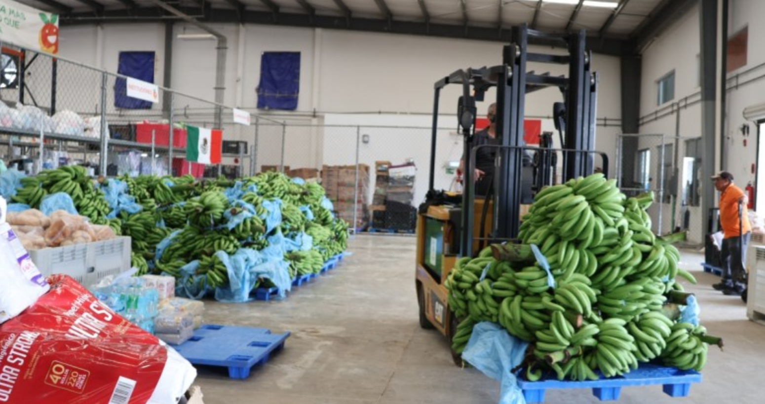 La inversión de 34 millones que busca erradicar el hambre en Yucatán