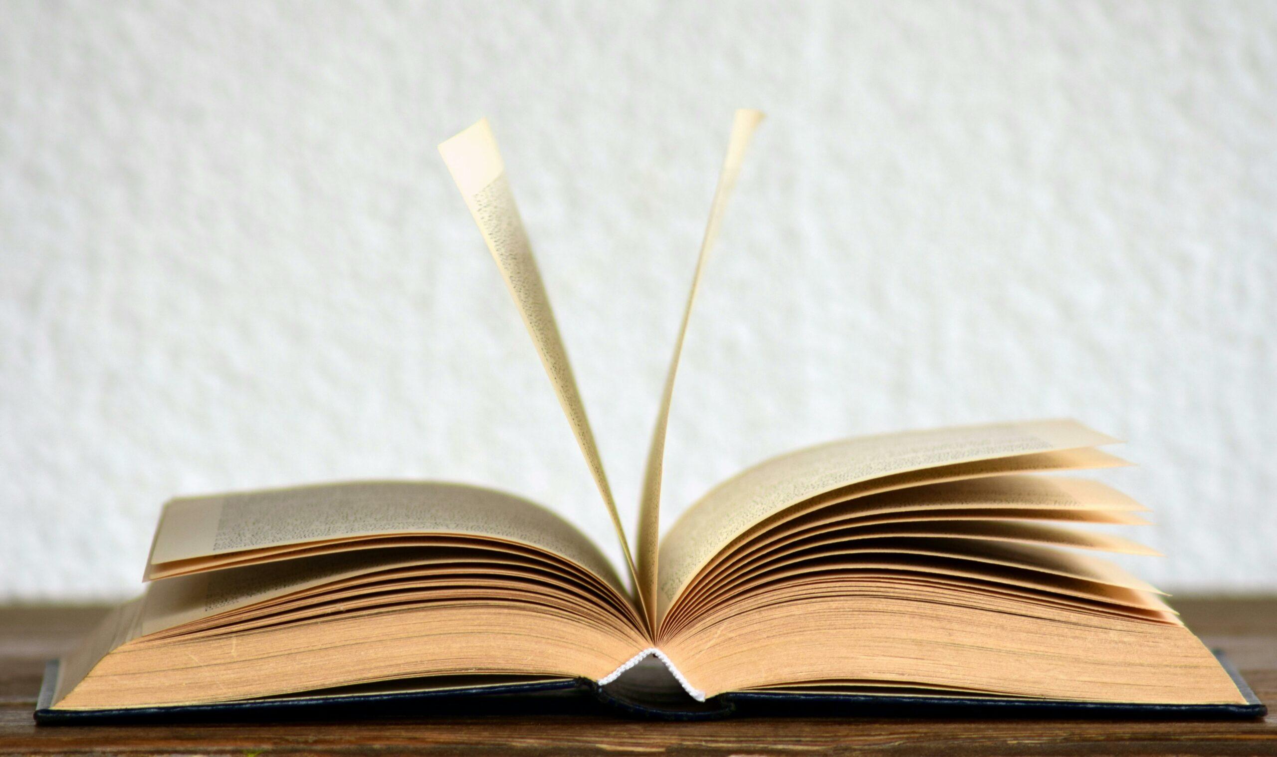 Qué es una reseña literaria y por qué puede cambiar tu forma de leer
