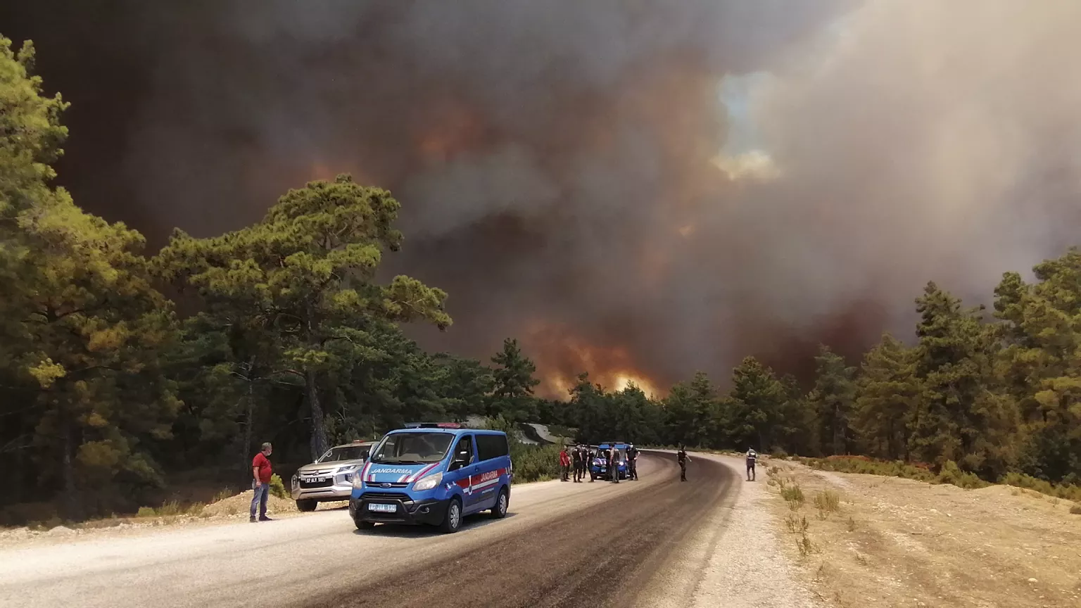 Alerta en Turquía por incendio forestal descontrolado en Çanakkale