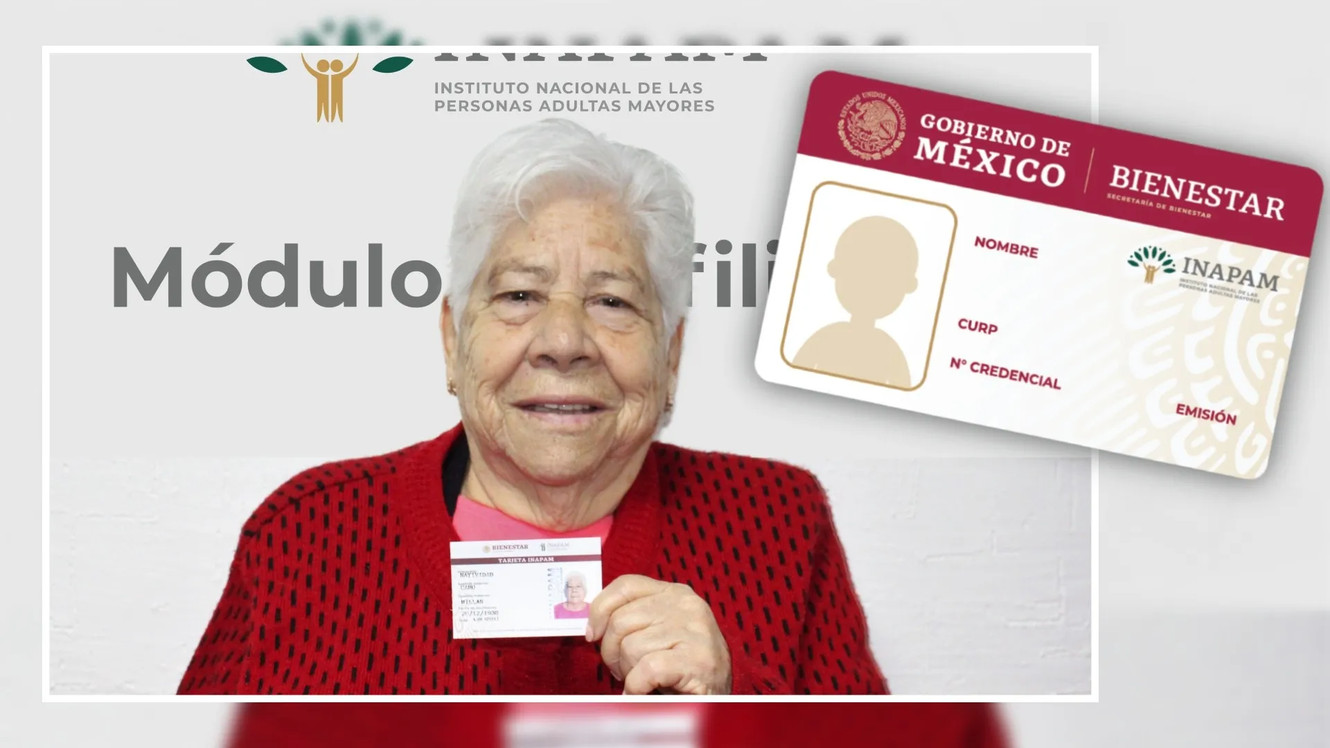 Programa adultos mayores 8364 pesos: Requisitos clave para recibir el apoyo