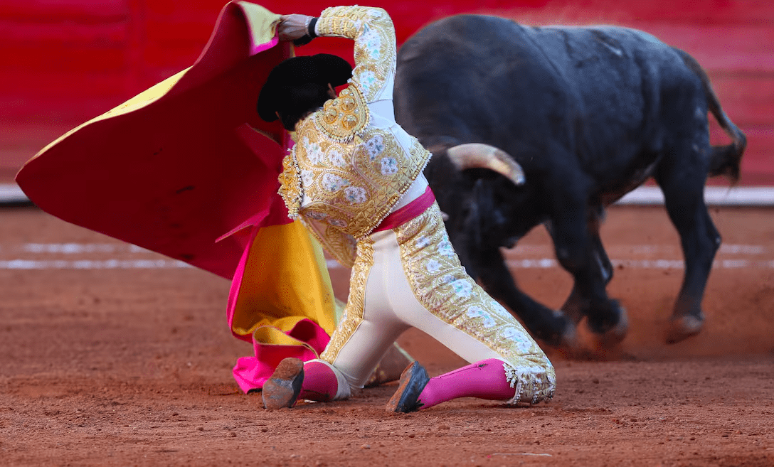 Prohíben corridas de toros en Michoacán: el inicio del fin de la tauromaquia