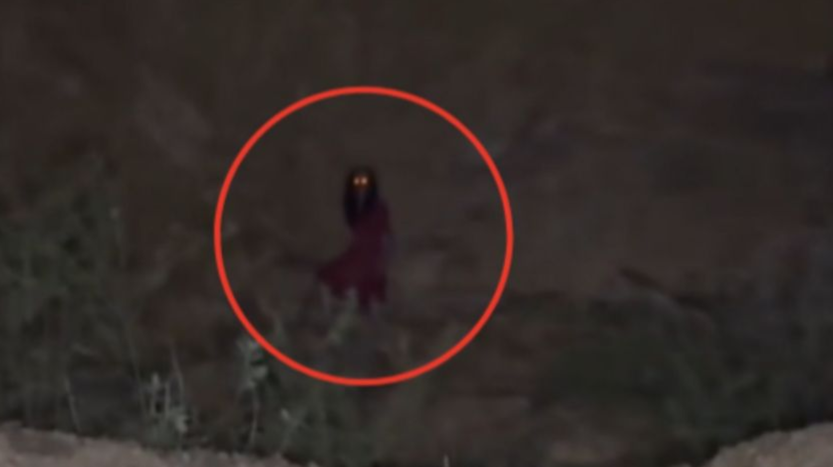 El grito de la madrugada: captan extraña figura que aterroriza Tlajomulco