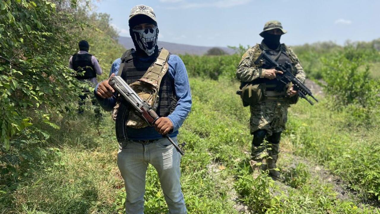 Narcovideos en México: la brutal herramienta del narco que reveló la corrupción