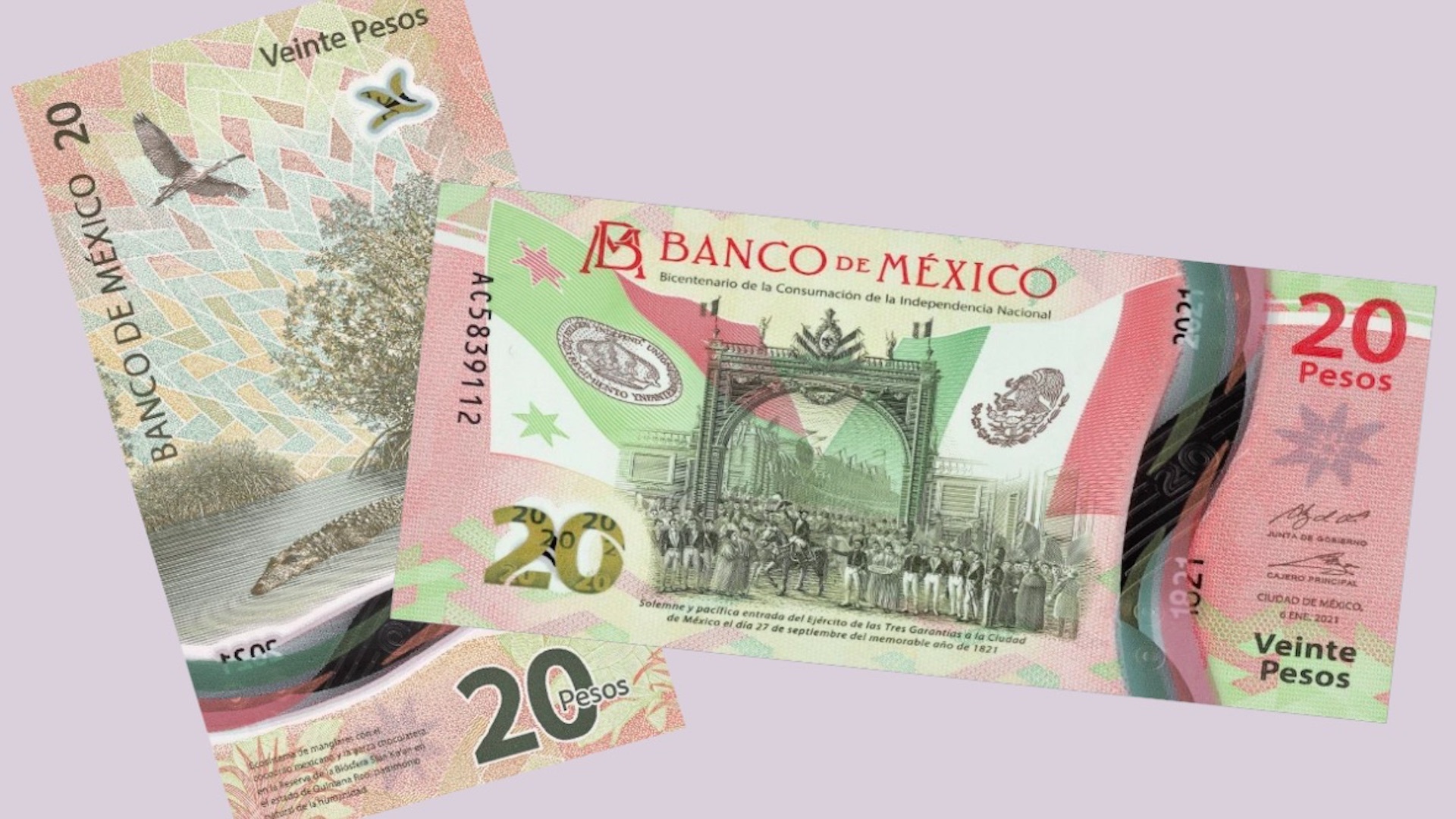 Billetes de 20 pesos dicen adiós: Serán reemplazados por monedas