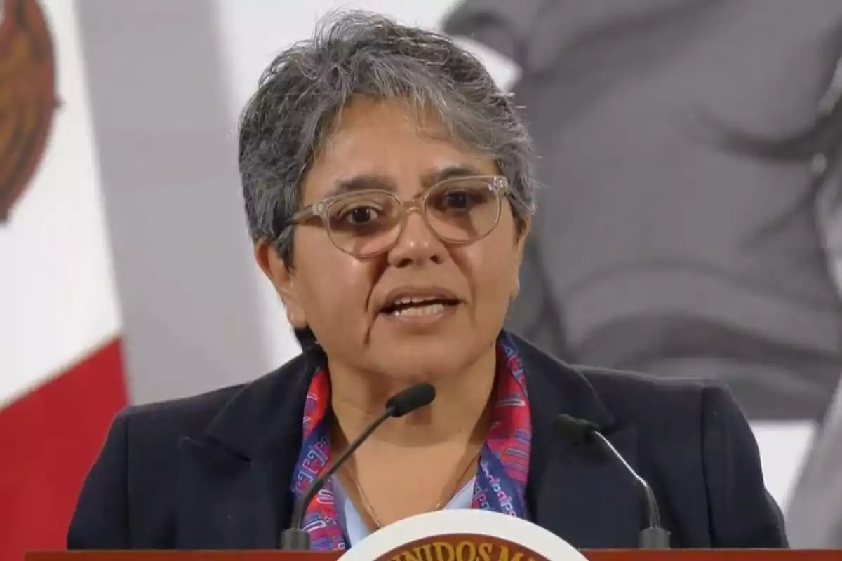 INAI: Raquel Buenrostro revela irregularidades en plataforma
