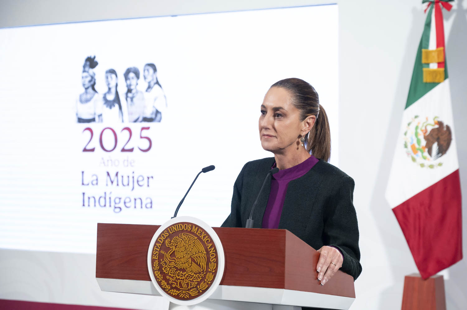 Morena reafirma apoyo a estrategia de seguridad de Sheinbaum y Estados Unidos
