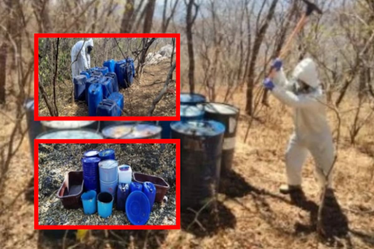 Golpe al narcotráfico en Sinaloa: Desmantelan 13 laboratorios de drogas sintéticas