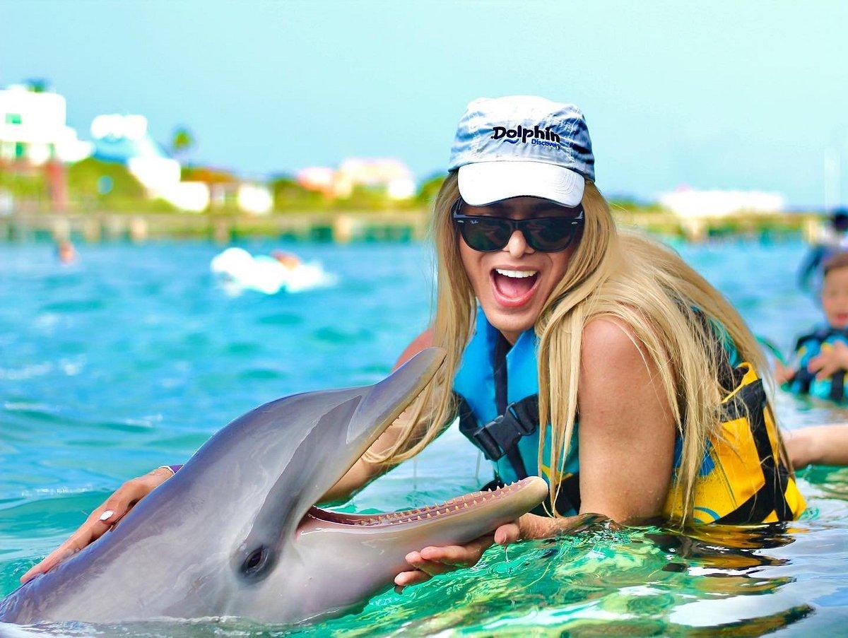 Dolphin Discovery: líder del turismo marino con compromiso ambiental
