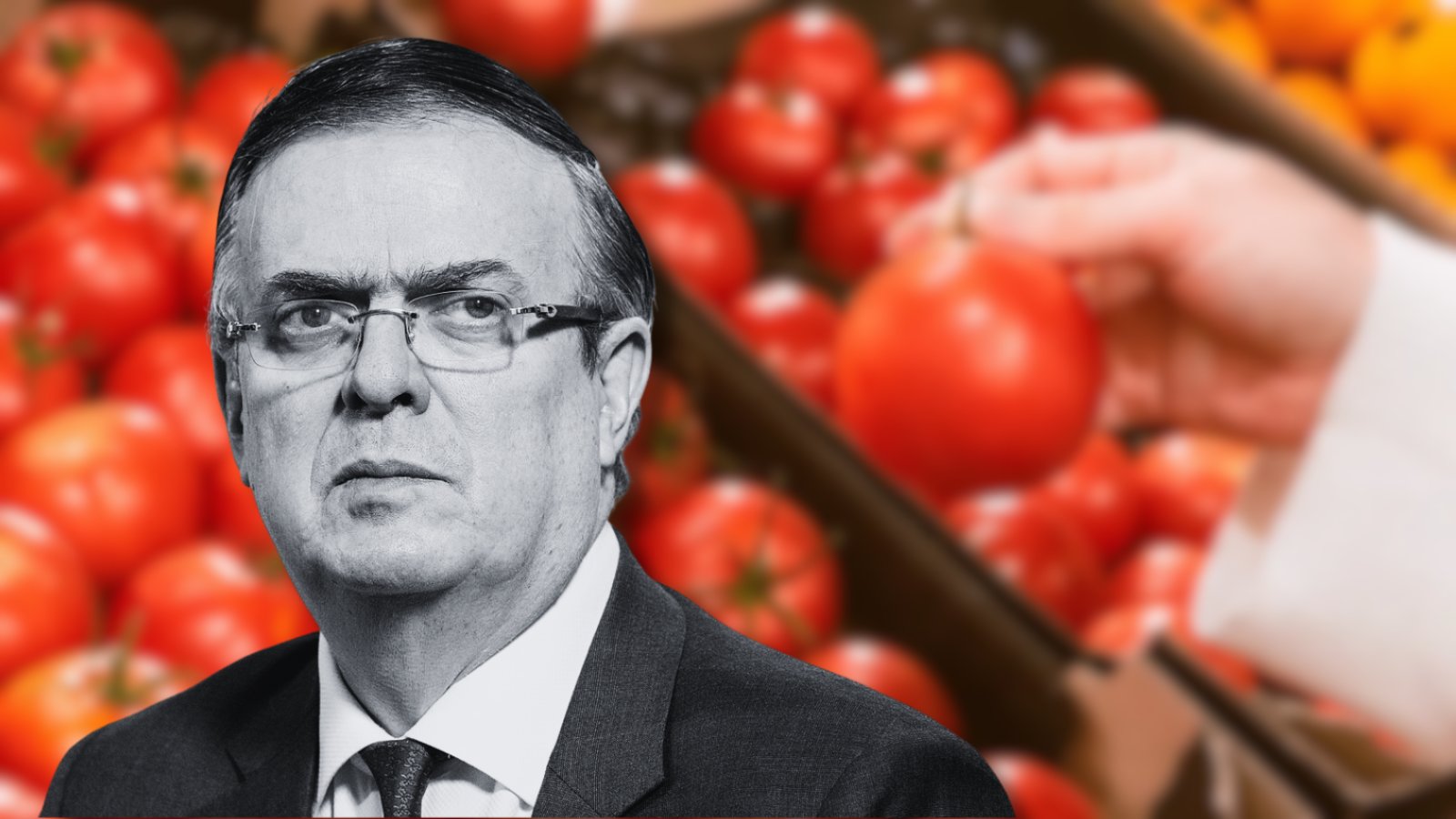 Impuesto al Jitomate: Ebrard Explica la Cuota Compensatoria de E.U.