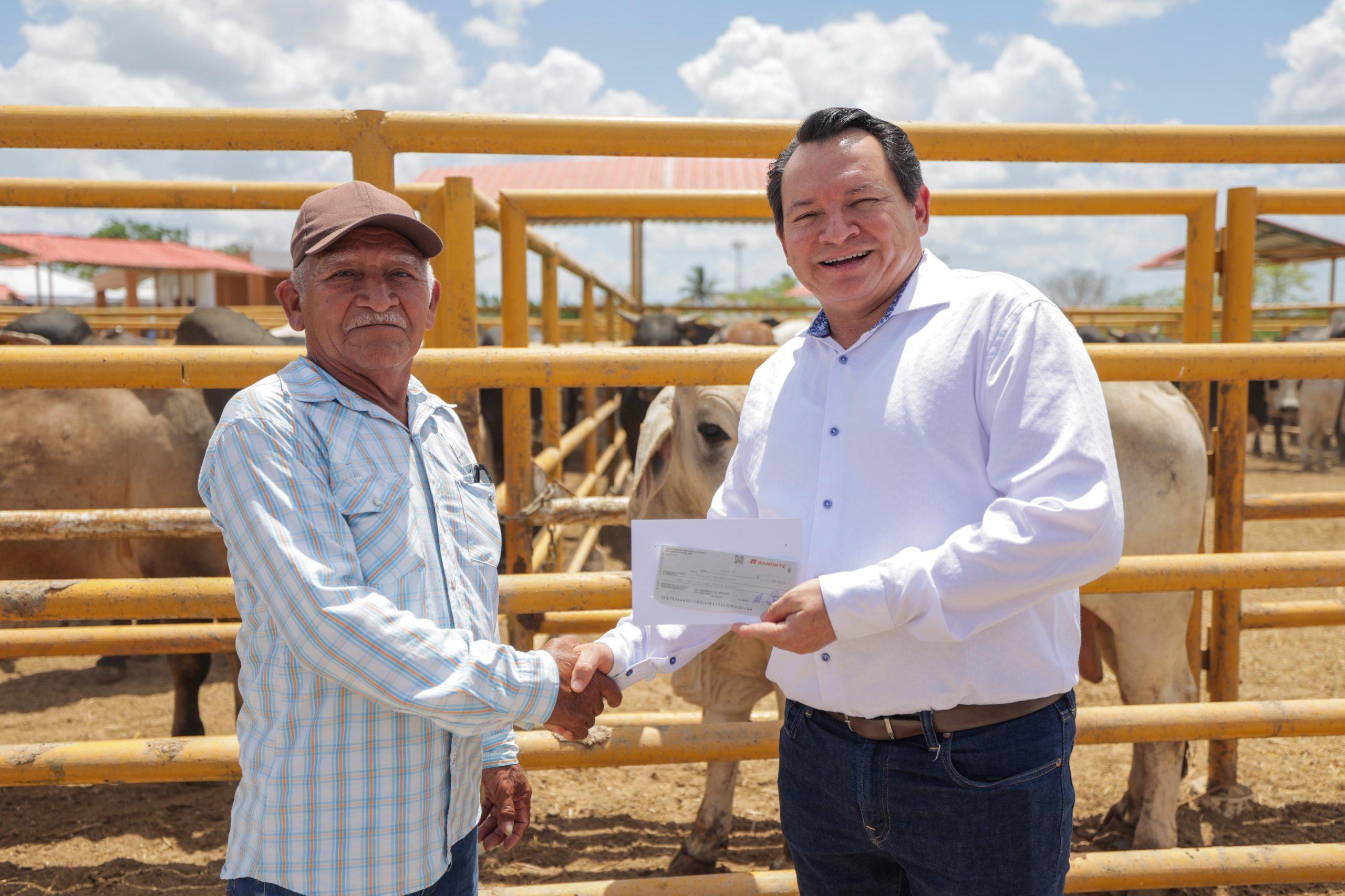 Ganadería yucateca renace: apoyos millonarios impulsan su resurgimiento