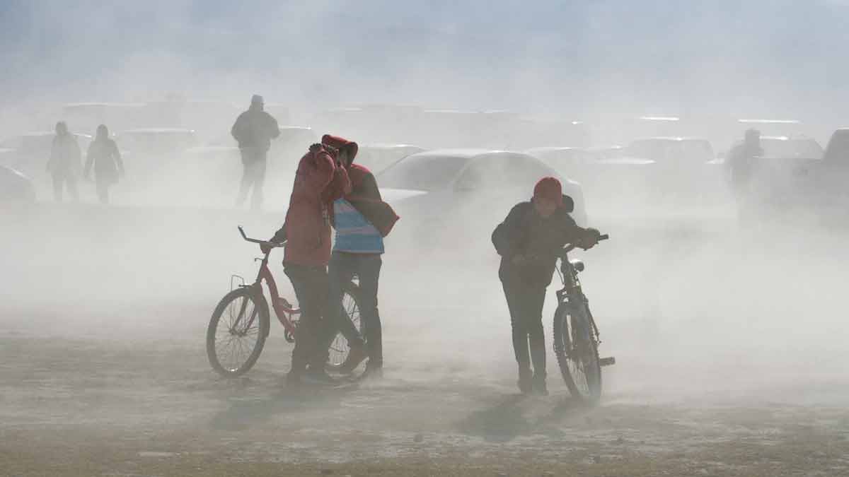Tolvaneras en México: Cómo protegerte de este peligroso fenómeno