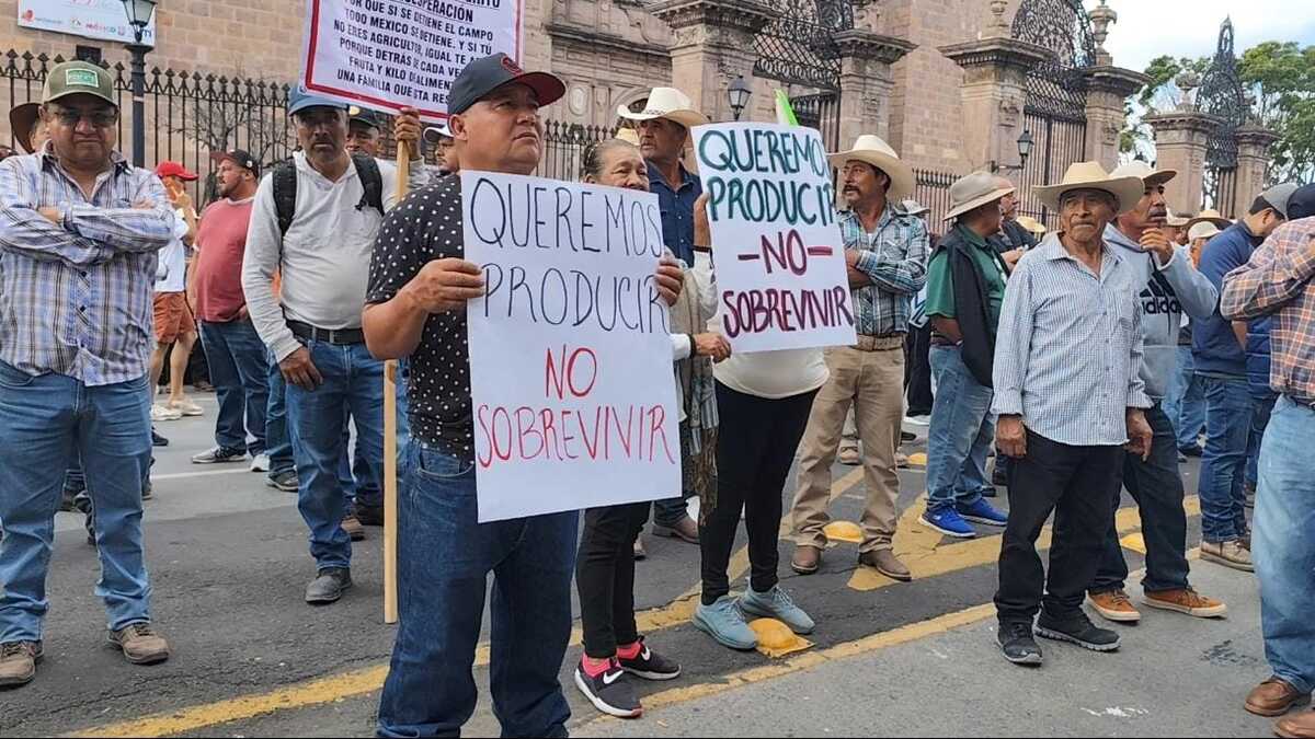 El colapso logístico del 7 de noviembre: ¿quién está detrás de los bloqueos?