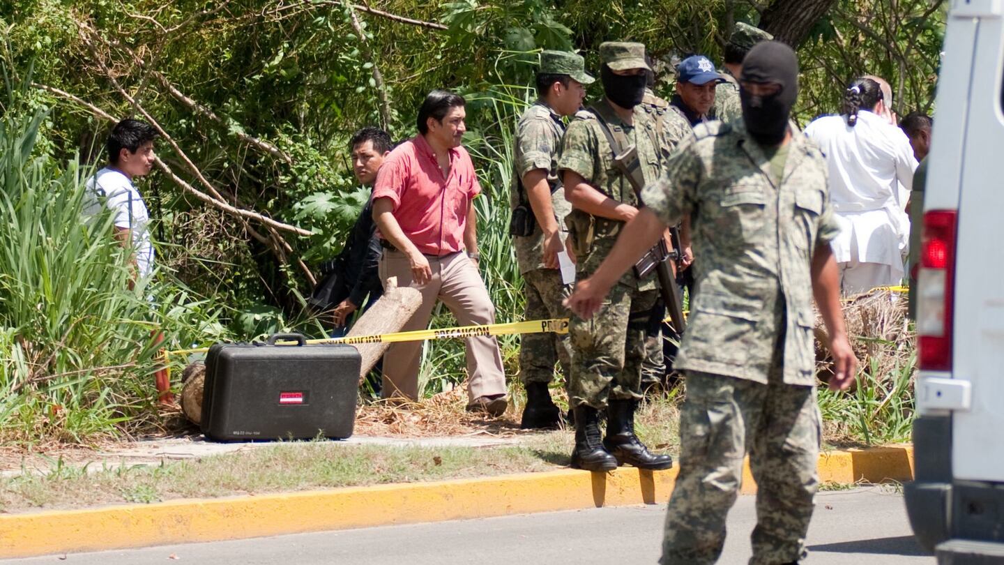 Semarnat pide apoyo a Guardia Nacional y Sedena contra tala ilegal