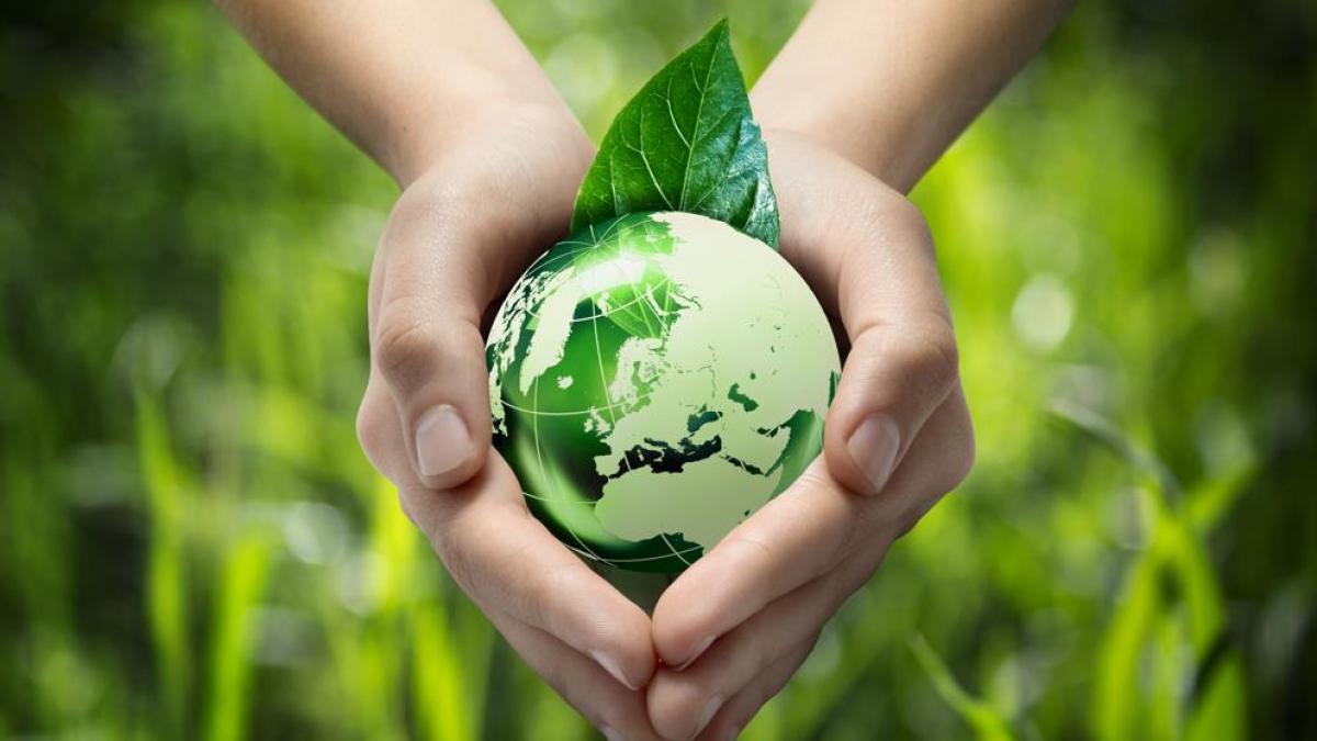 Cómo ayudar al planeta como estudiante: 7 acciones que sí hacen la diferencia