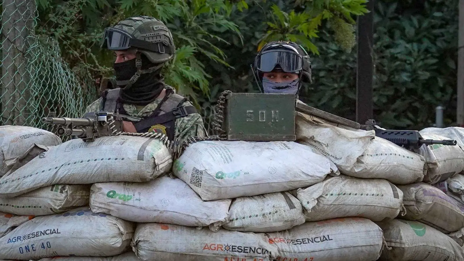 Operación Paricutín: el gran despliegue militar en Michoacán ¿Será suficiente?