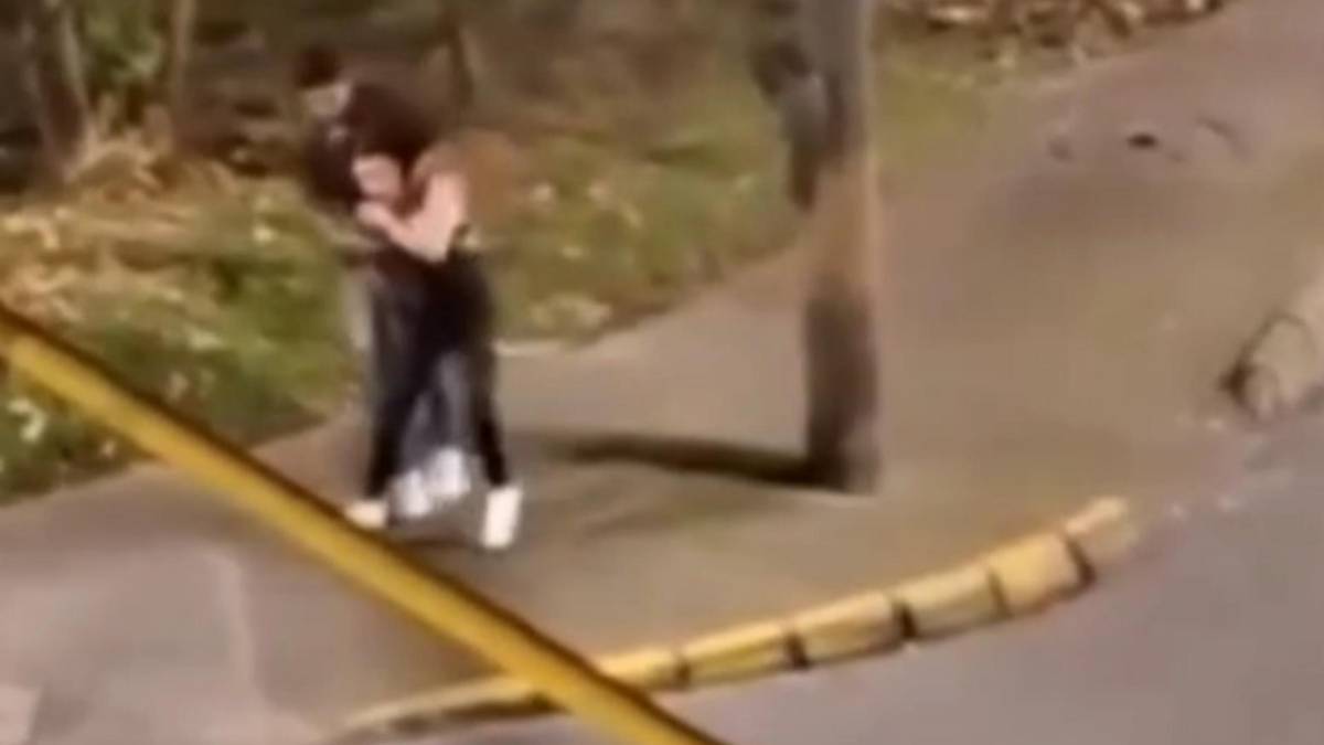 Motociclistas detienen agresión en Envigado: el video viral de la justicia callejera